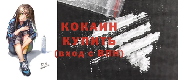 соль ск Абаза