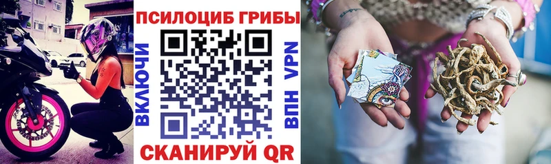 магазин  наркотиков  MEGA как войти  Псилоцибиновые грибы прущие грибы  Ипатово 